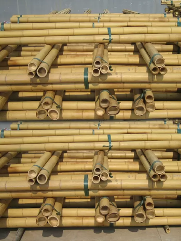 Bamboo Pole Moso