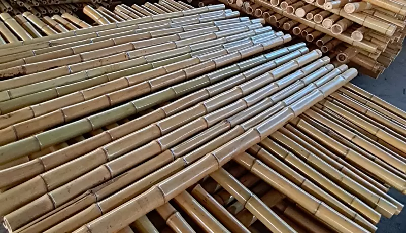 6m Bamboo Poles