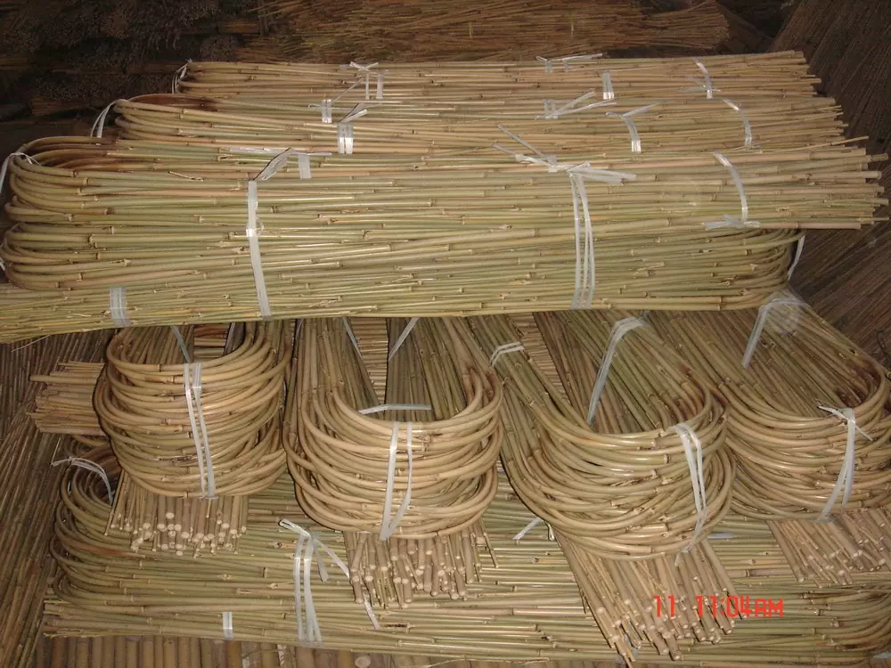 Lattes de bambou